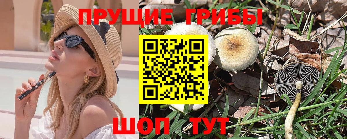 Карталы  Псилоцибиновые грибы Psilocybine cubensis  наркота  Вход с VPN 