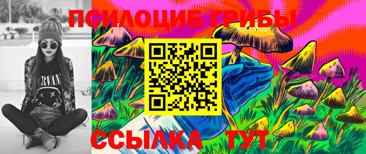 Галлюциногенные грибы прущие грибы Карталы