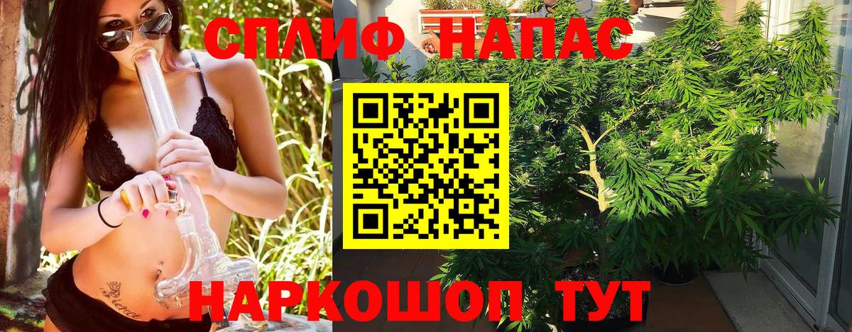 Шишки марихуана марихуана  Каннабис планчик  Вход с VPN  Карталы  Канабис план 
